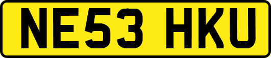 NE53HKU