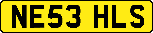 NE53HLS