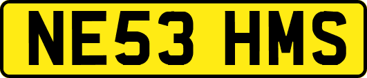 NE53HMS