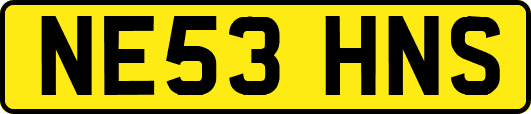 NE53HNS