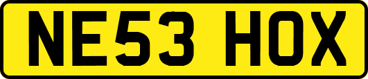 NE53HOX