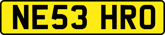 NE53HRO