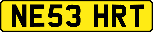 NE53HRT