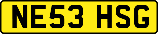 NE53HSG