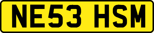 NE53HSM