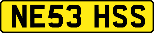 NE53HSS