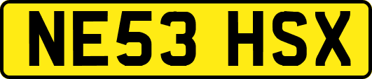 NE53HSX