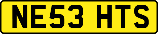 NE53HTS