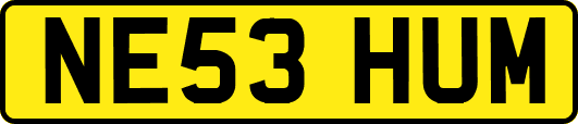 NE53HUM