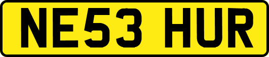 NE53HUR