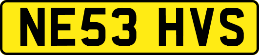 NE53HVS
