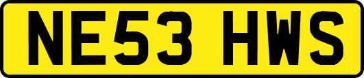 NE53HWS