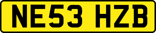NE53HZB