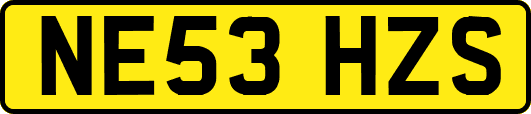 NE53HZS