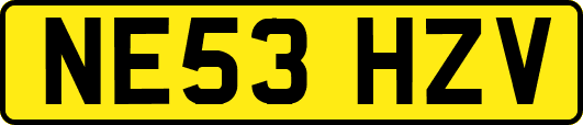 NE53HZV