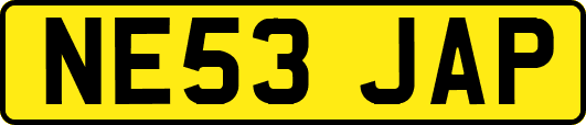 NE53JAP