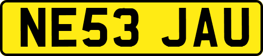 NE53JAU