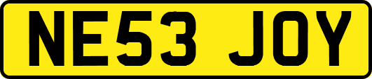 NE53JOY