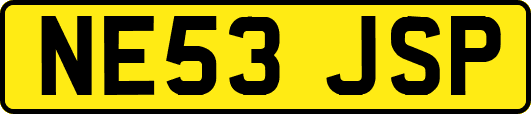 NE53JSP