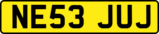 NE53JUJ