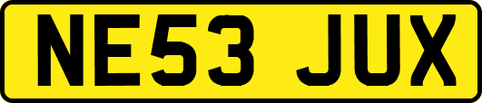 NE53JUX