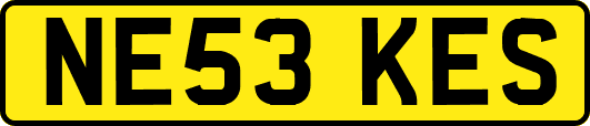 NE53KES