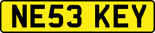 NE53KEY