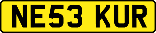NE53KUR
