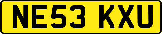 NE53KXU