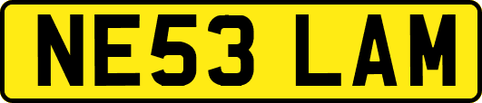 NE53LAM