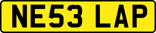 NE53LAP