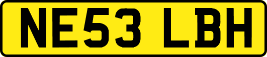 NE53LBH