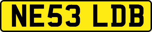 NE53LDB