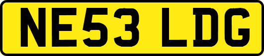 NE53LDG
