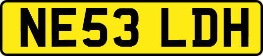 NE53LDH
