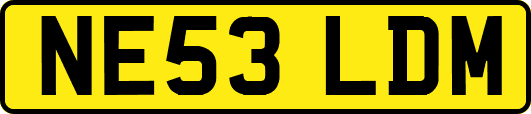 NE53LDM