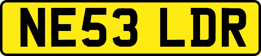 NE53LDR