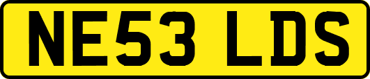 NE53LDS