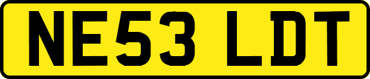 NE53LDT