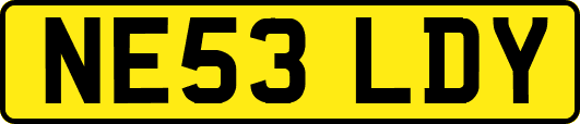 NE53LDY