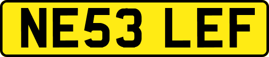 NE53LEF