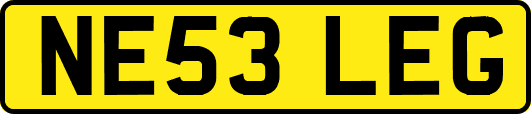 NE53LEG