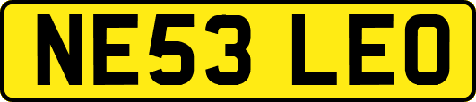 NE53LEO
