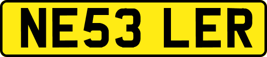 NE53LER