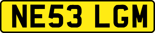 NE53LGM