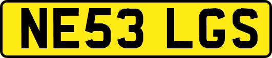 NE53LGS