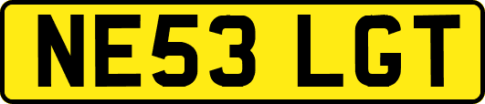 NE53LGT