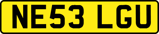 NE53LGU