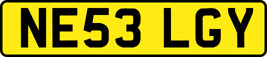 NE53LGY