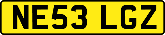 NE53LGZ